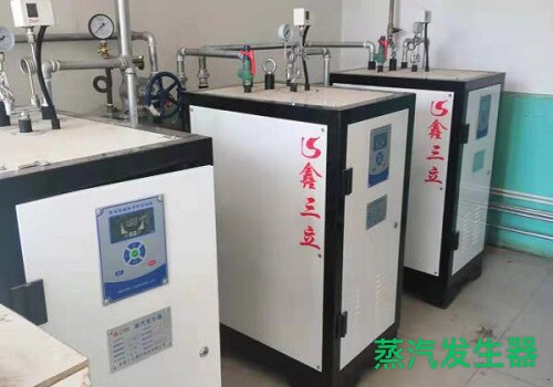 全自動蒸汽發(fā)生器生產(chǎn)廠家